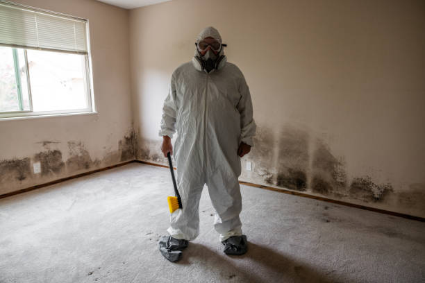 Best Mold Removal Specialists  in Greenville, NC